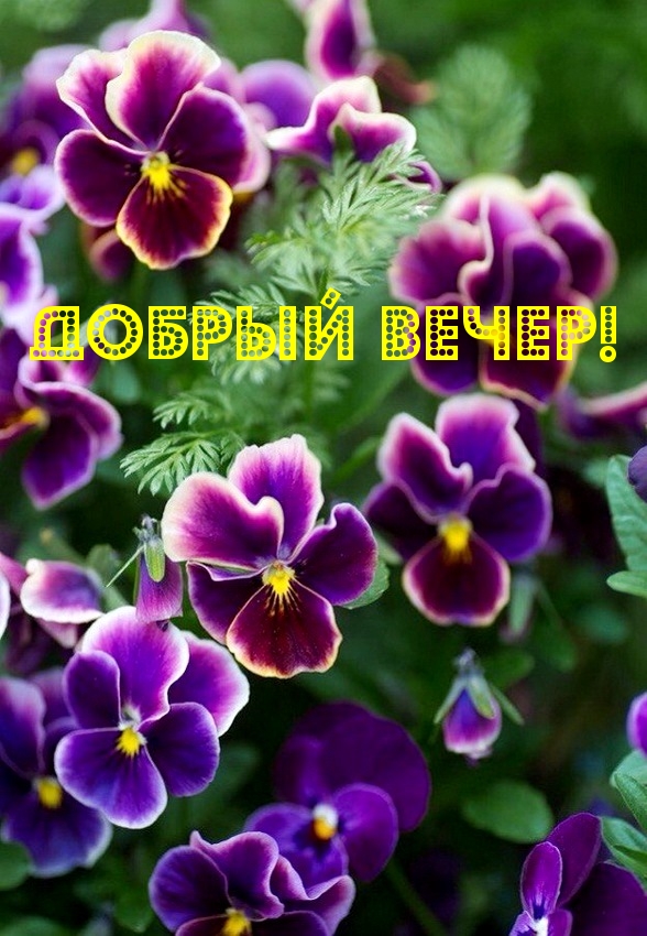  !.
