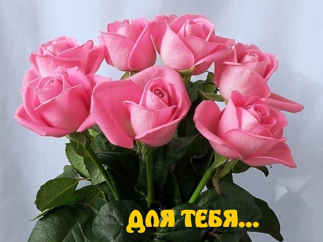   :  ...