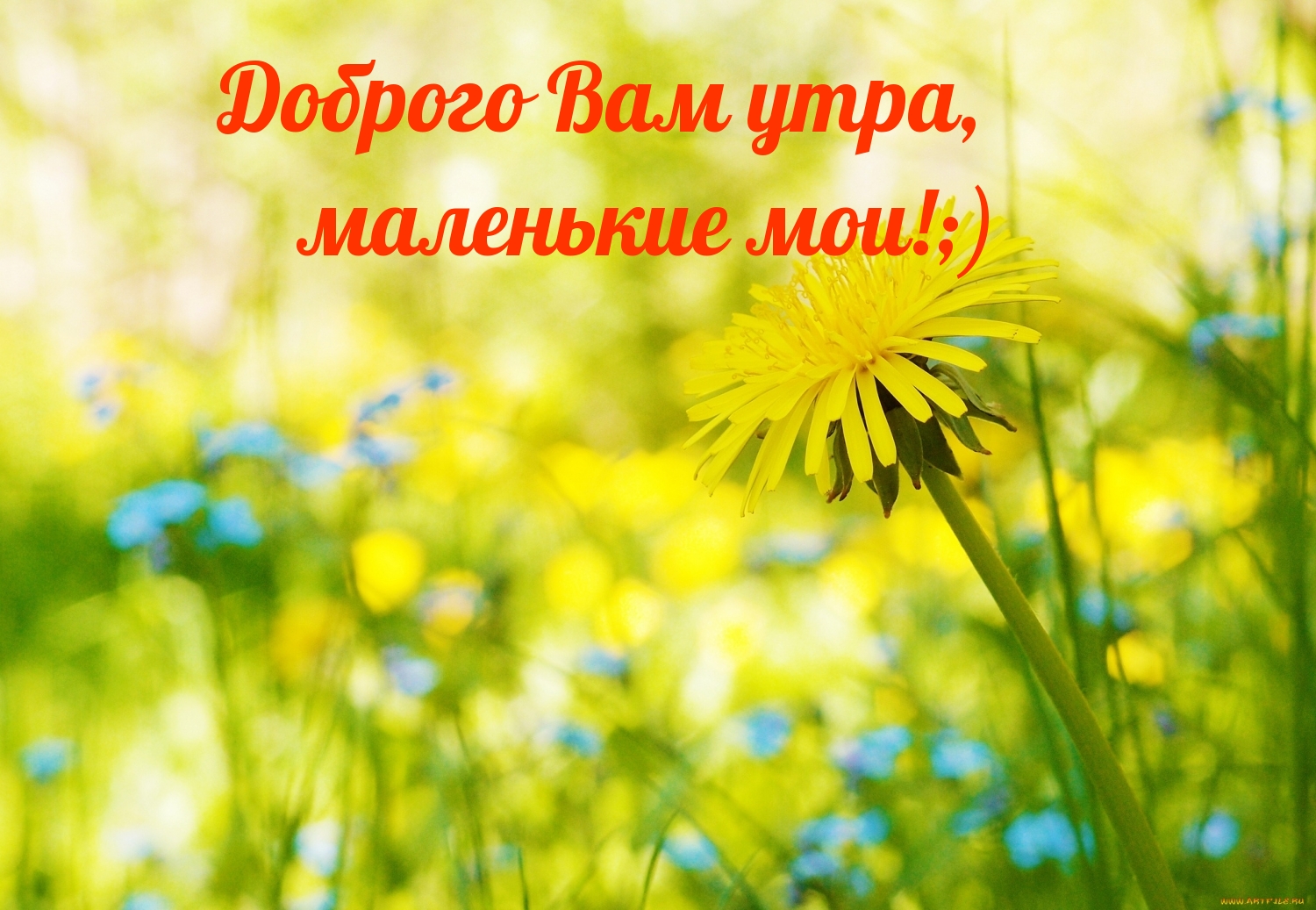 Доброго Вам утра, маленькие мои!;)