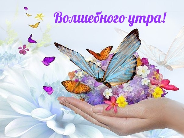  !.