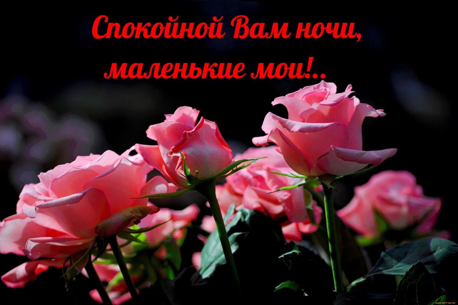 Спокойной Вам ночи, маленькие мои!..