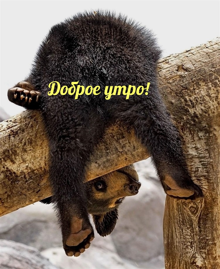   !