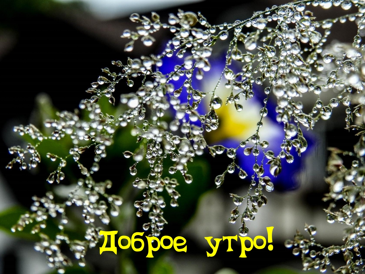 Доброе утро!
