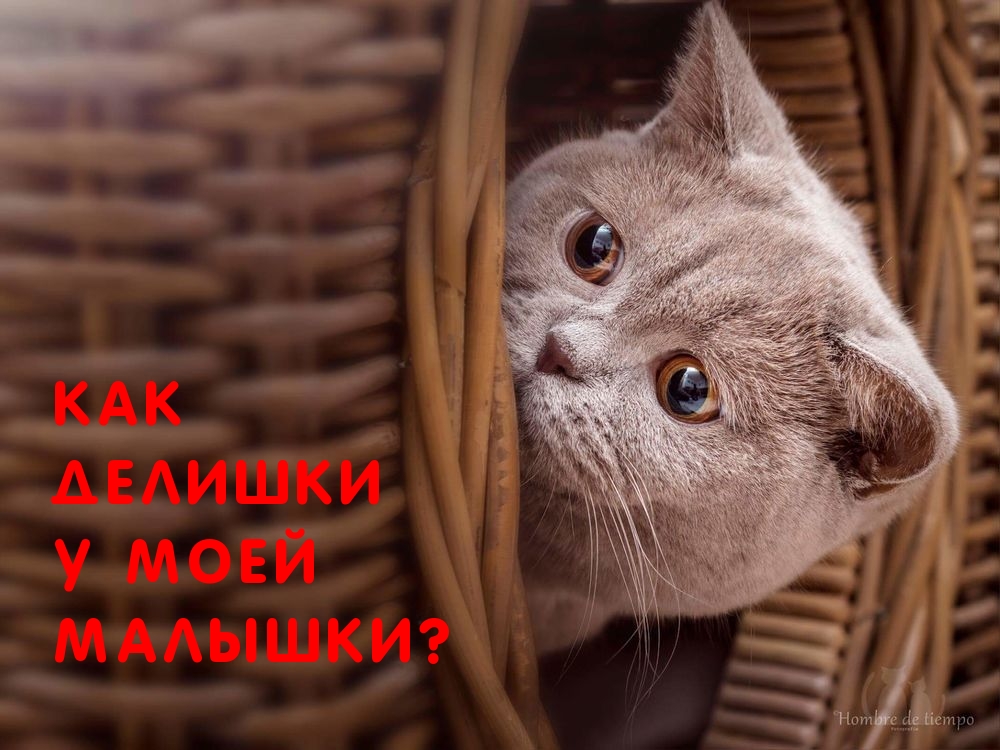   :     ?