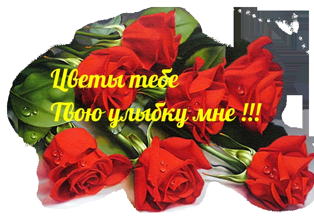Цветы тебе Твою улыбку мне!.