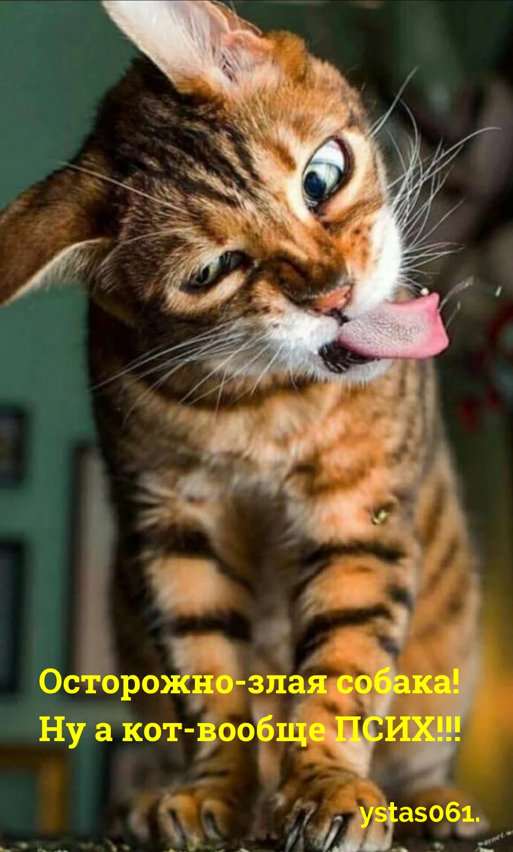   :   ,   ...
