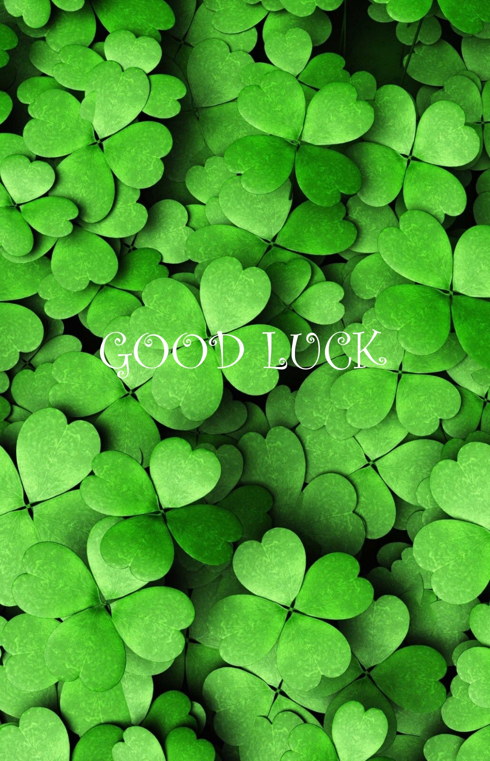 GOOD LUCK ()