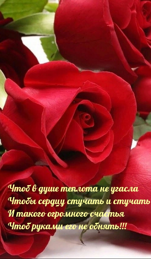   :      
