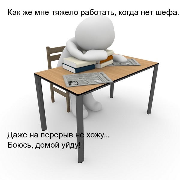     ,   .