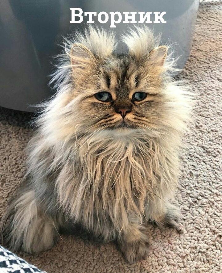   : 