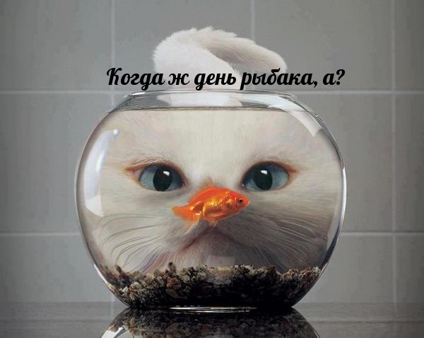 Когда ж день рыбака, а?.