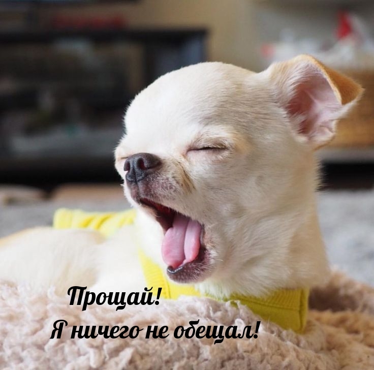   : !    !