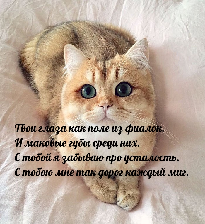  :      