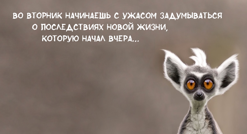   :      