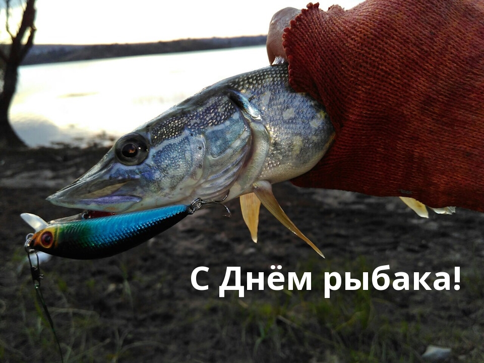 С Днём рыбака!