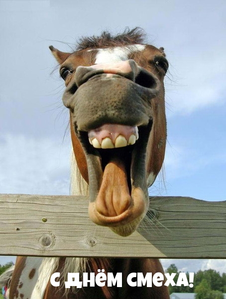   !.