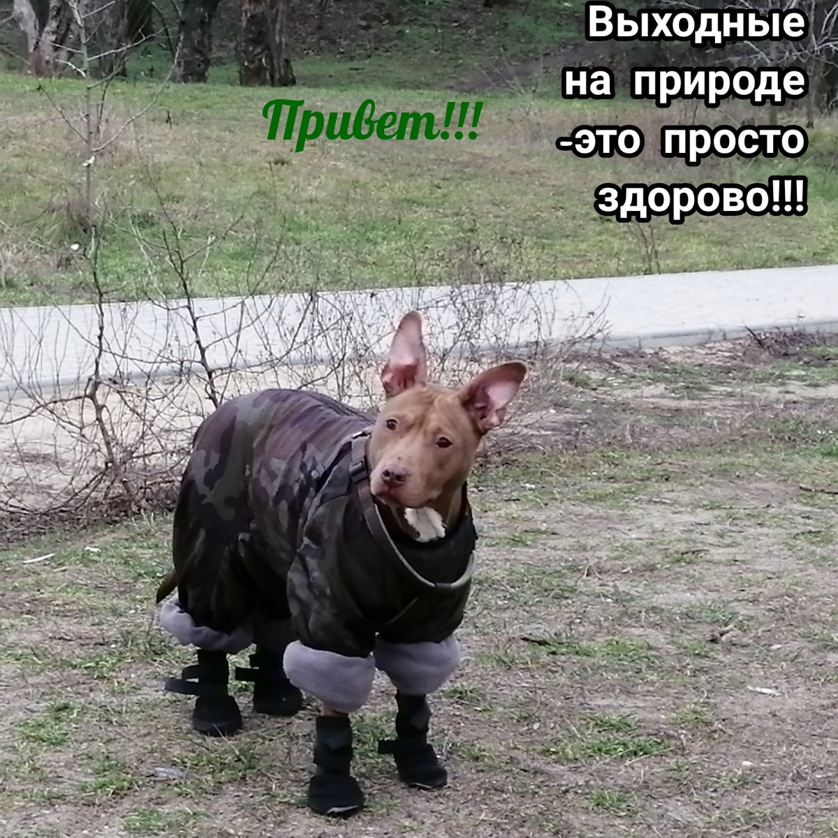 Привет!