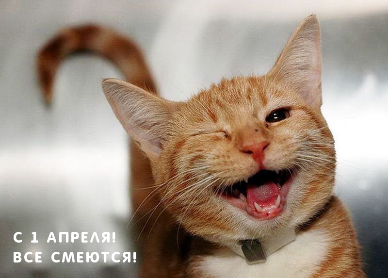   :  1 !  !
