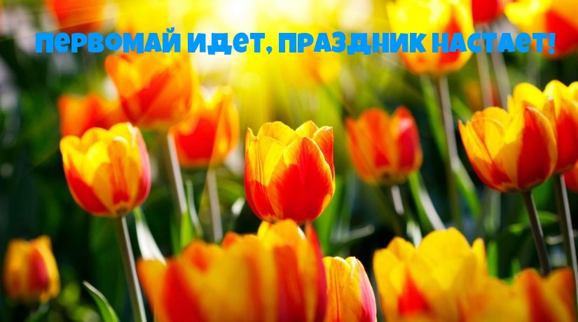   :  ,  !