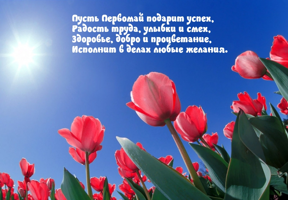 Пусть Первомай подарит успех!