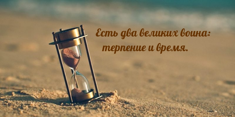 Есть два великих воина: терпение и время.