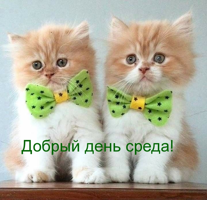   :   !