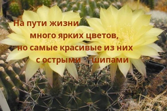   :      