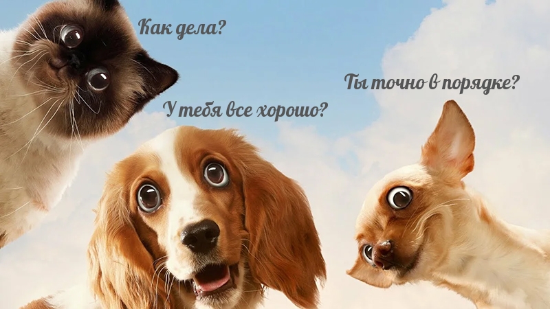   :    ?