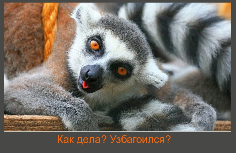 Как дела? Узбагоился?