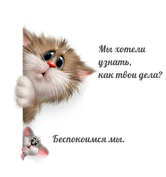   :   ,   ?