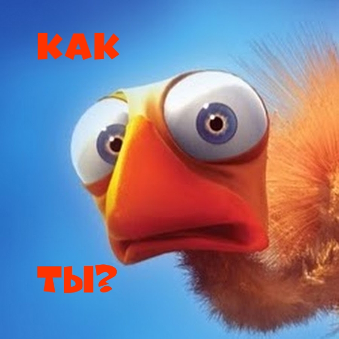  ?.