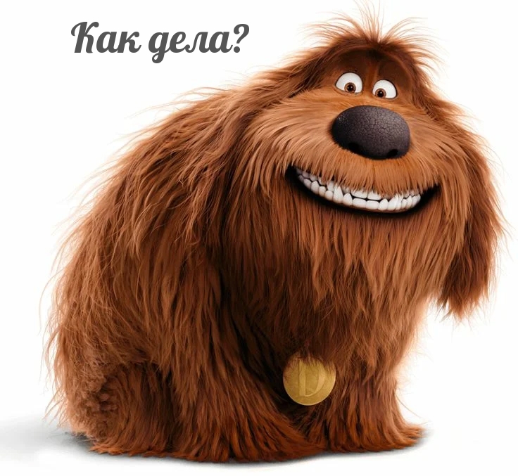   :  ?