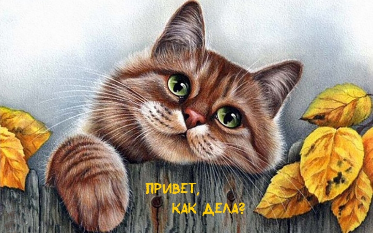   : ,  ?