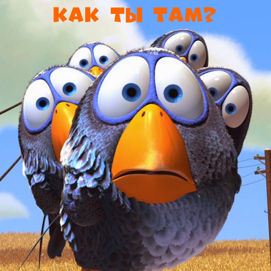   :   ?