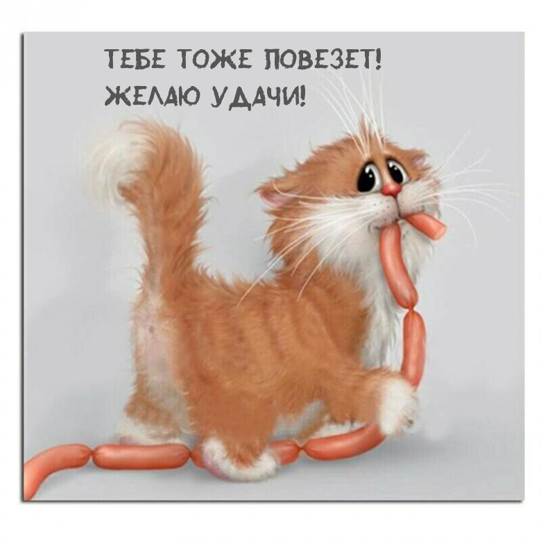   :   !  !