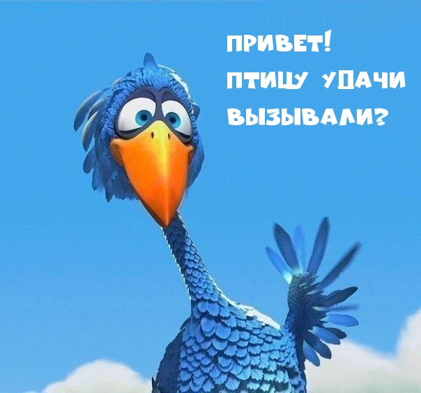   : !   ?