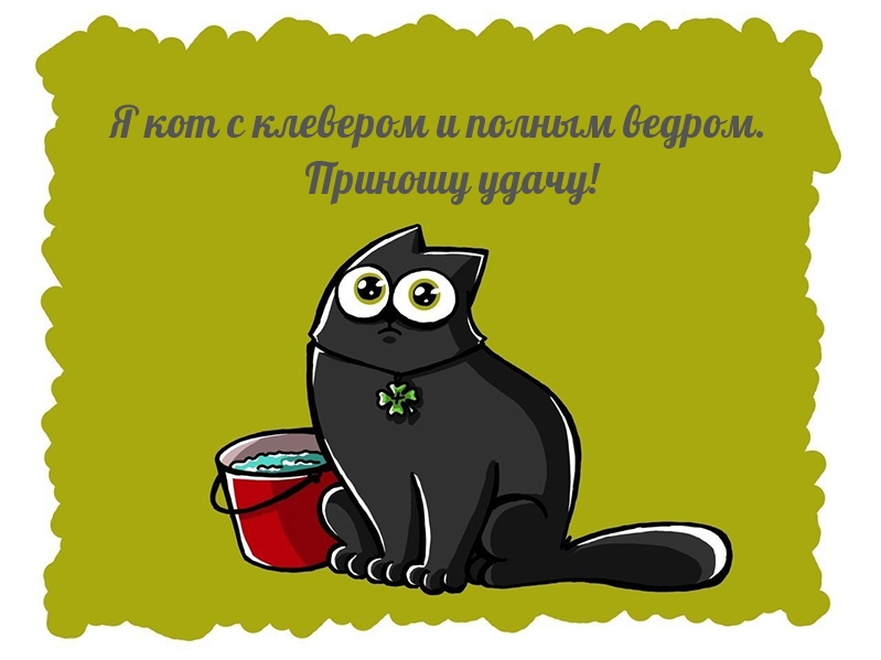 Я кот с клевером и полным ведром. Приношу удачу!