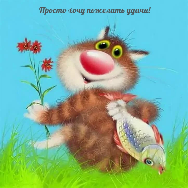 Картинка с надписью: Просто хочу пожелать удачи!