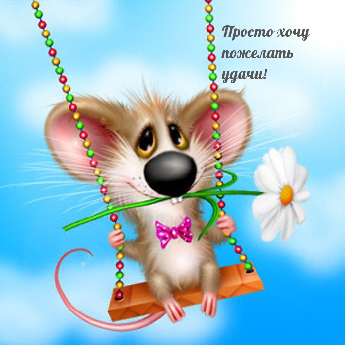 Просто хочу пожелать удачи!.