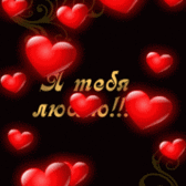   :   