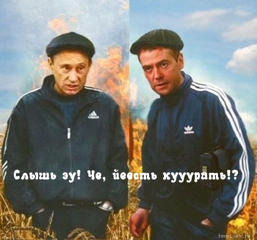 Медведев и Путин.
