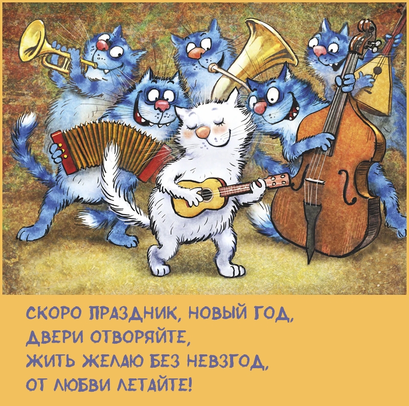   :  ,  !