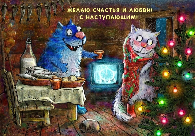   :    !  !