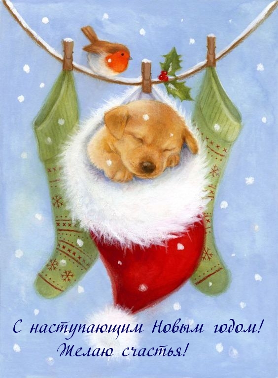 С наступающим Новым годом! Желаю счастья!.