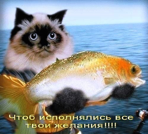   :    