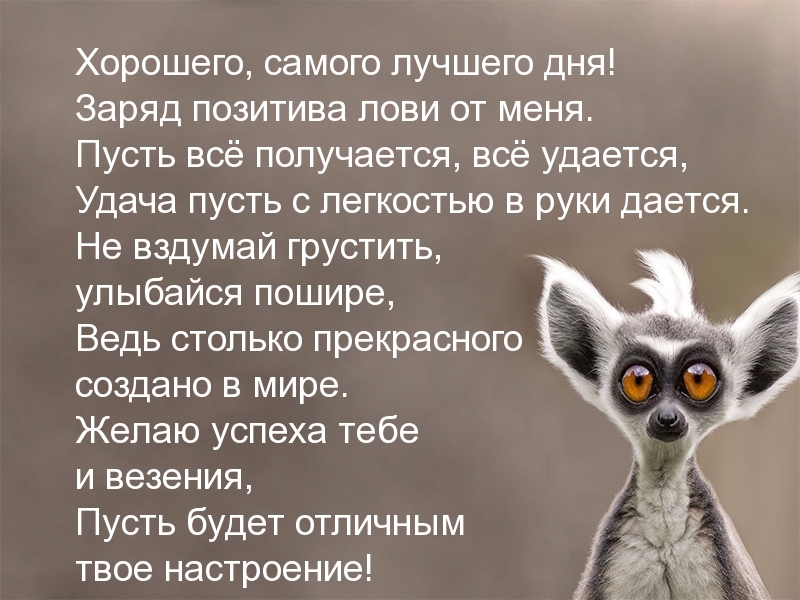 Прикольное стихотворение для пожелания хорошего настроения