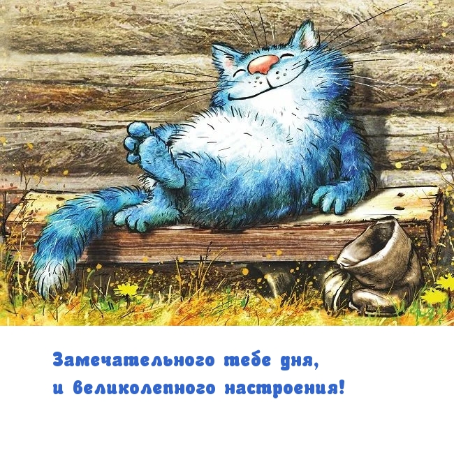   :   ,   !