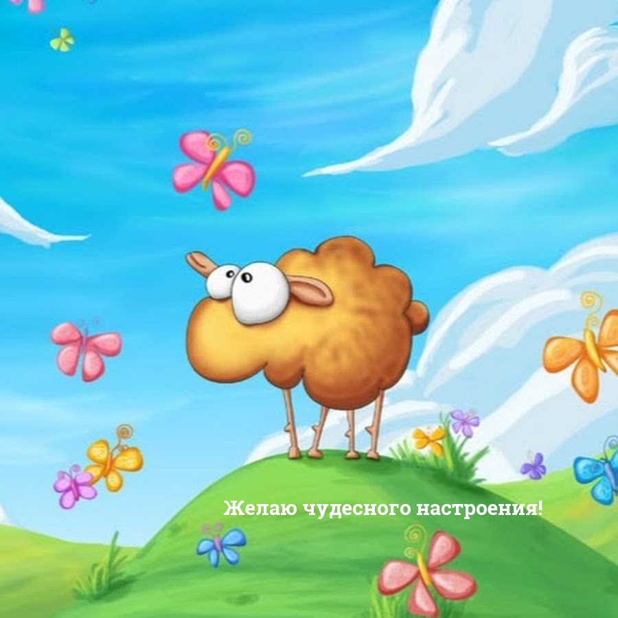   :   !