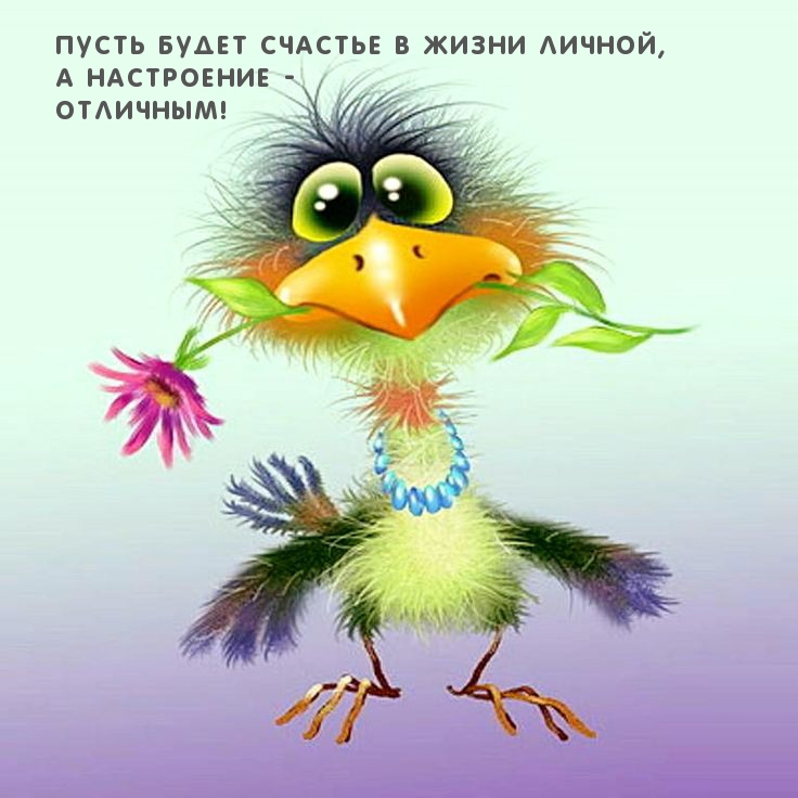 Пусть будет счастье в жизни личной, а настроение - отличным!