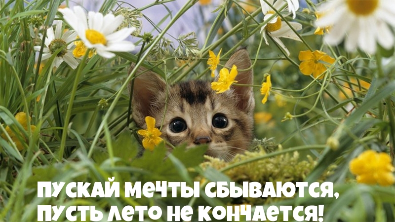   ,    !